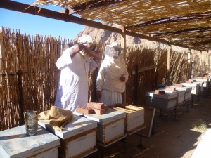 Beekeeping 11   