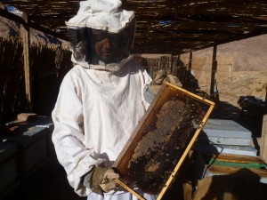 Beekeeping 8   